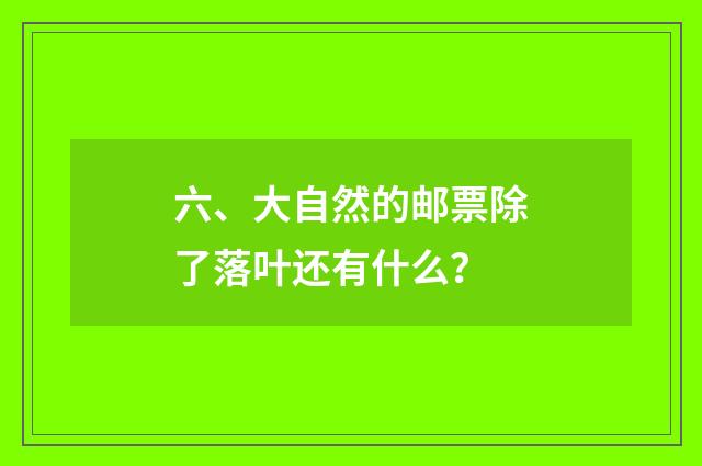 六、大自然的邮票除了落叶还有什么？