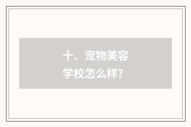 十、宠物美容学校怎么样？