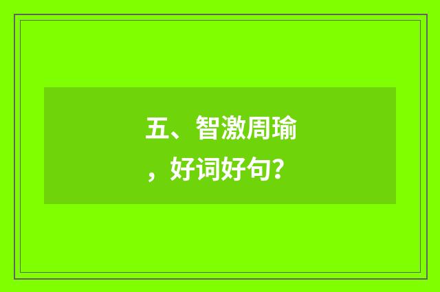 五、智激周瑜，好词好句？