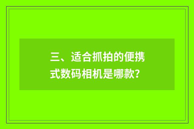 三、适合抓拍的便携式数码相机是哪款？