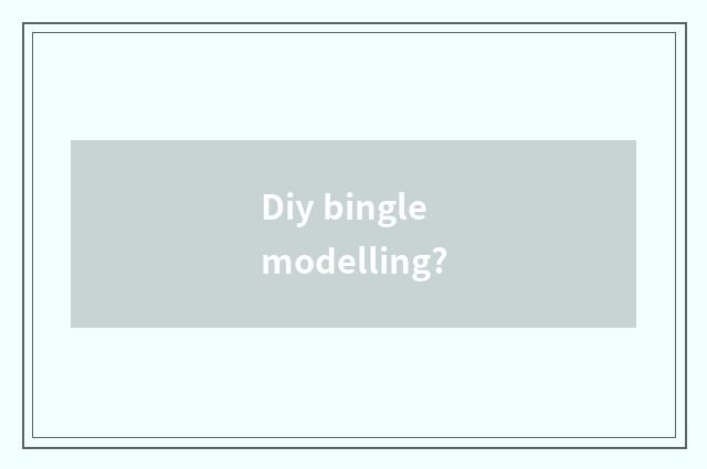 Diy bingle modelling?