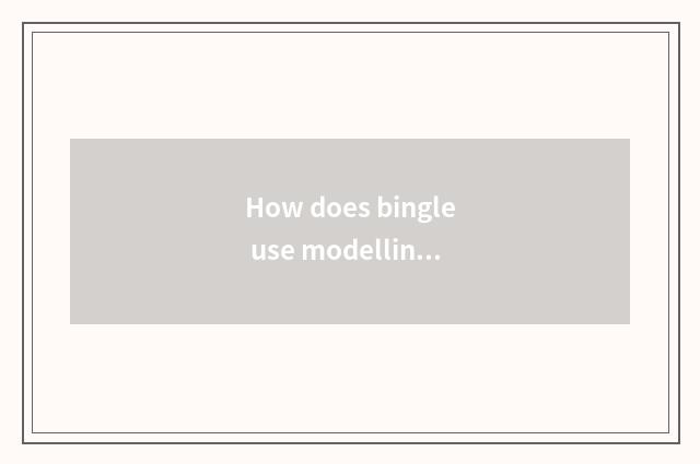 How does bingle use modelling bubble?