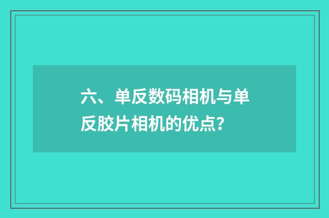 六、单反数码相机与单反胶片相机的优点？