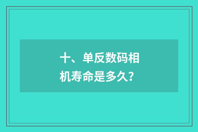 十、单反数码相机寿命是多久？