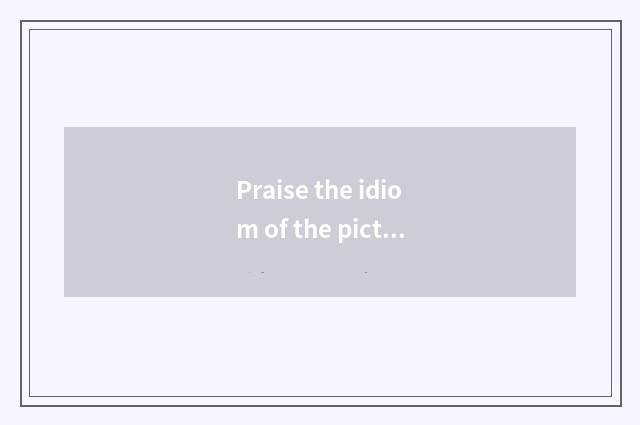 Praise the idiom of the picture?