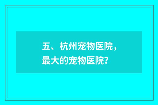 五、杭州宠物医院，最大的宠物医院？