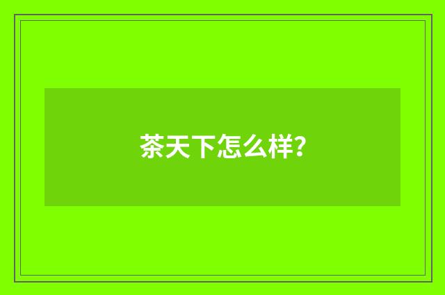 茶天下怎么样？