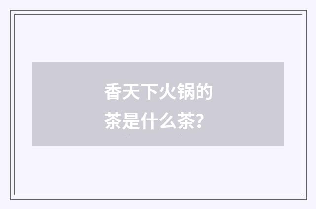 香天下火锅的茶是什么茶？