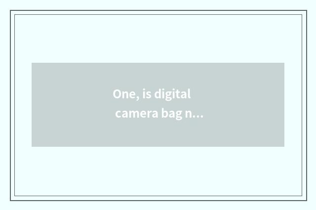 One, is digital camera bag necessary to buy?
