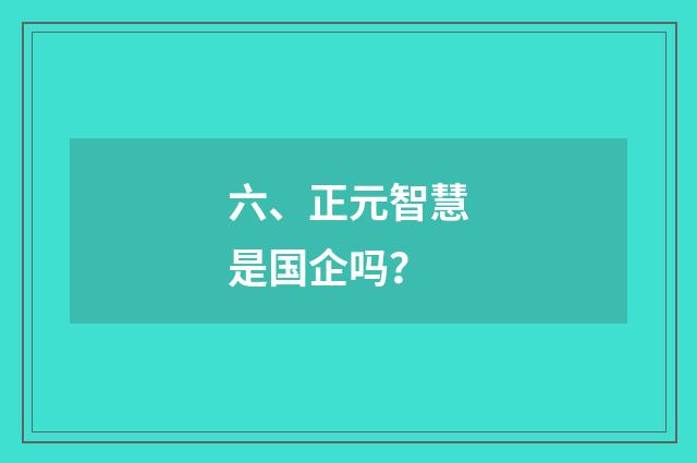 六、正元智慧是国企吗？