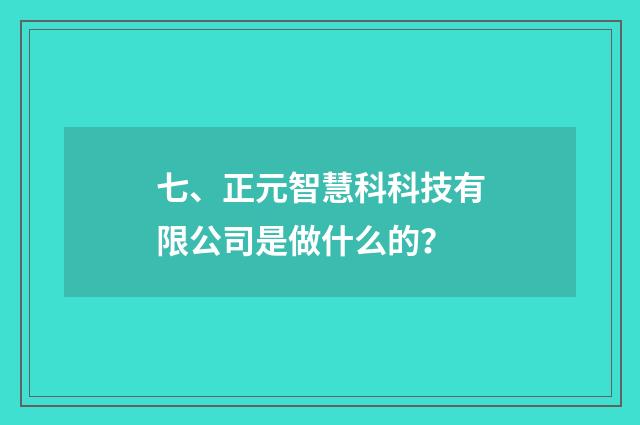 七、正元智慧科科技有限公司是做什么的？