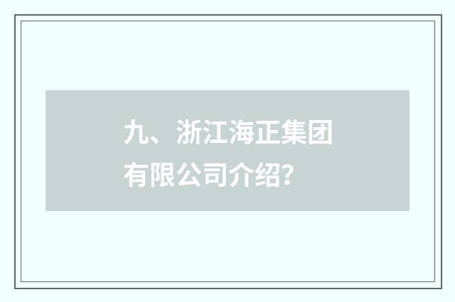 九、浙江海正集团有限公司介绍？