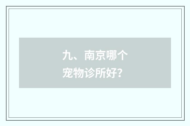 九、南京哪个宠物诊所好？