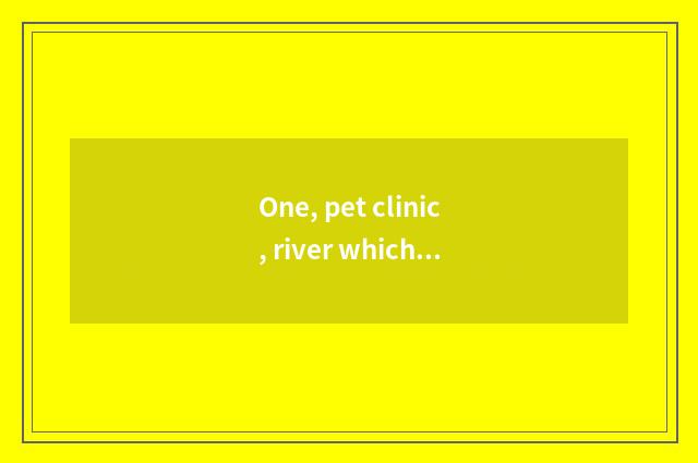 One, pet clinic, river which pet clinic is the bestest?