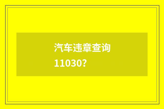 汽车违章查询11030？