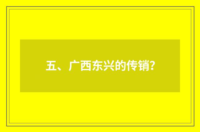 五、广西东兴的传销？
