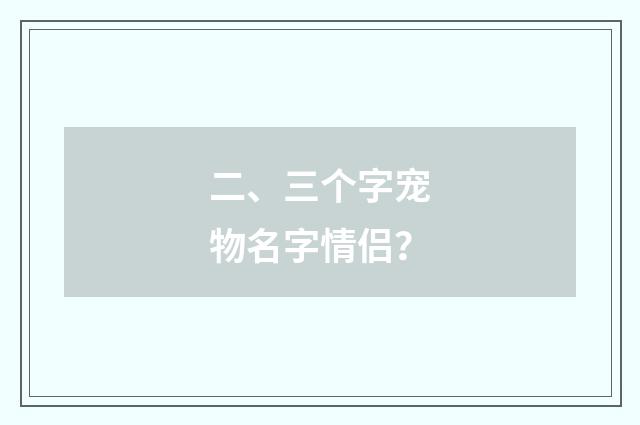 二、三个字宠物名字情侣？