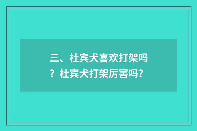 三、杜宾犬喜欢打架吗？杜宾犬打架厉害吗？