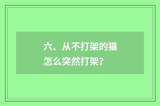 六、从不打架的猫怎么突然打架？