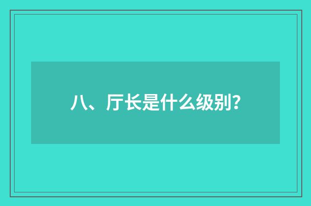 八、厅长是什么级别？