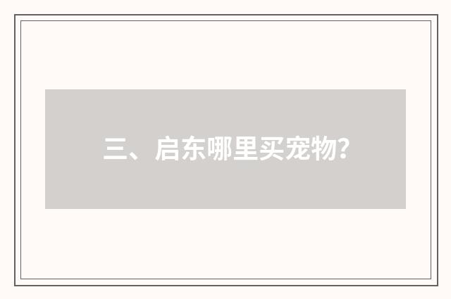 三、启东哪里买宠物？