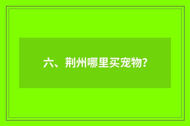 六、荆州哪里买宠物？