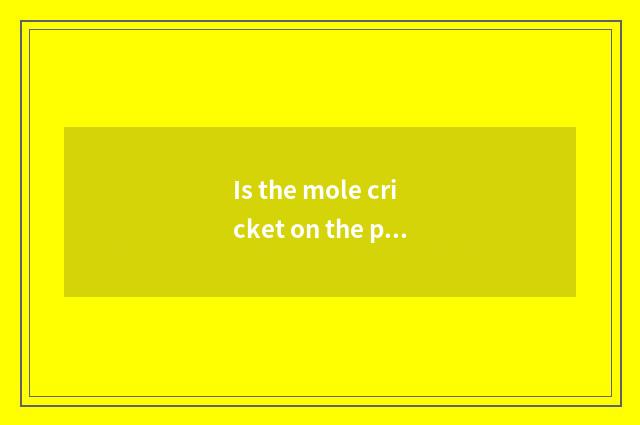 Is the mole cricket on the prairie much?