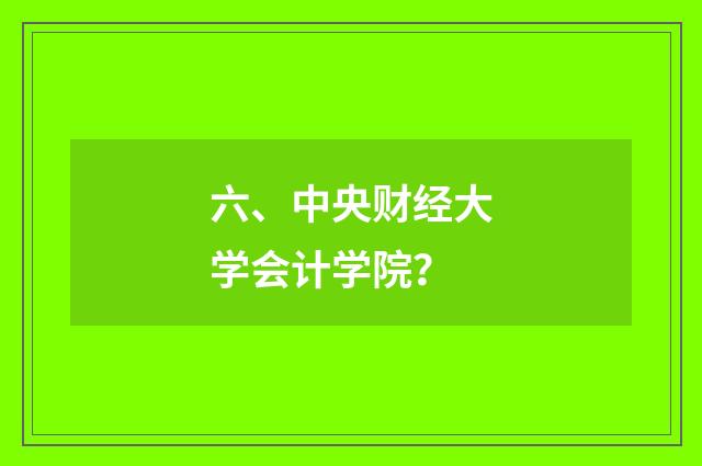 六、中央财经大学会计学院？