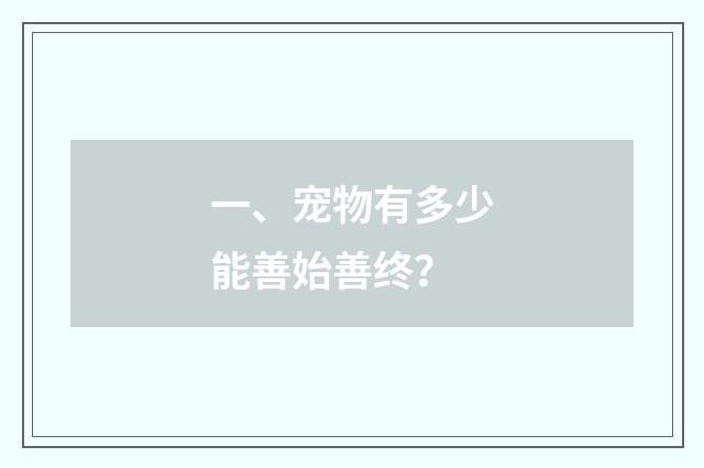 一、宠物有多少能善始善终？