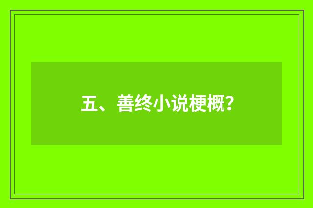 五、善终小说梗概？