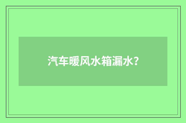 汽车暖风水箱漏水？