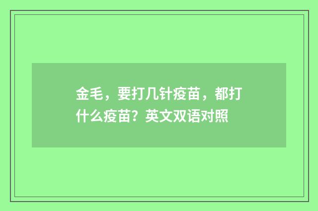 金毛，要打几针疫苗，都打什么疫苗？英文双语对照