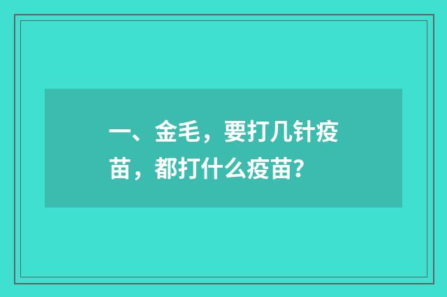 一、金毛，要打几针疫苗，都打什么疫苗？
