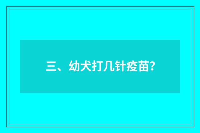 三、幼犬打几针疫苗?