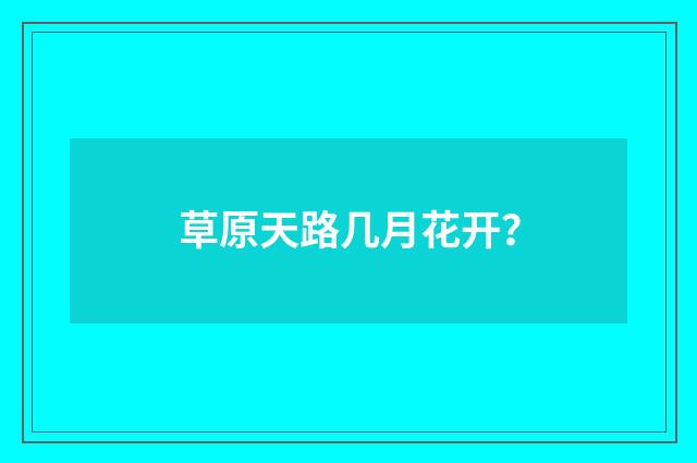 草原天路几月花开？