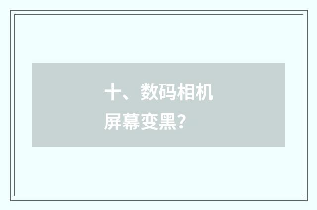 十、数码相机屏幕变黑？