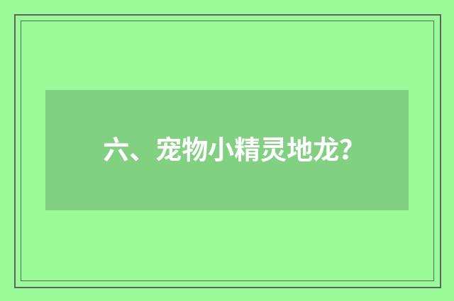 六、宠物小精灵地龙？