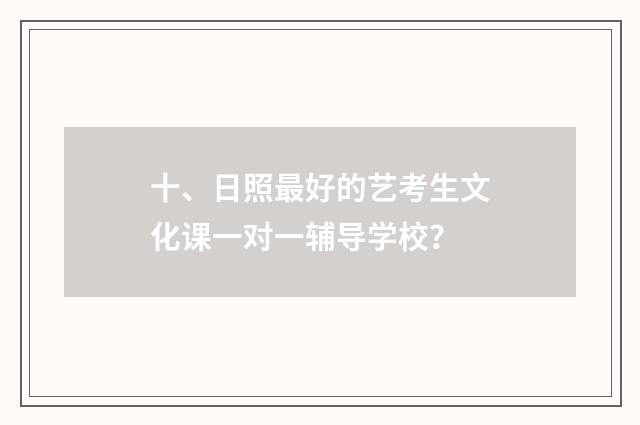 十、日照最好的艺考生文化课一对一辅导学校?