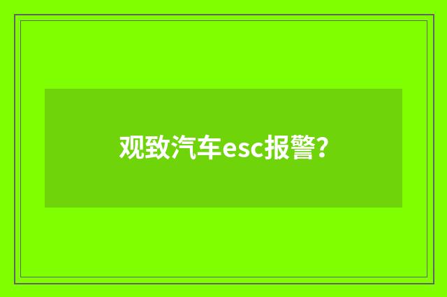 观致汽车esc报警？