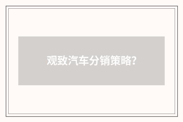 观致汽车分销策略？