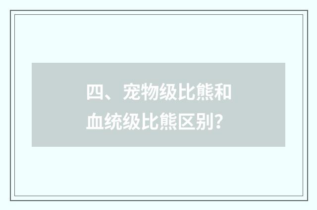 四、宠物级比熊和血统级比熊区别？
