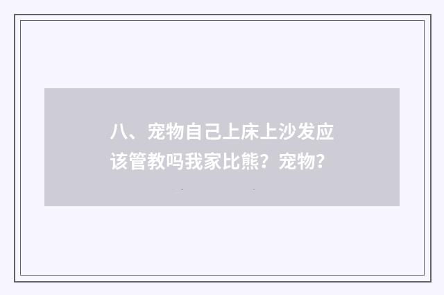 八、宠物自己上床上沙发应该管教吗我家比熊？宠物？