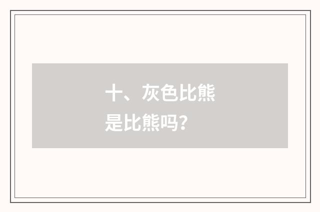 十、灰色比熊是比熊吗？