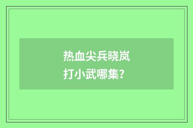 热血尖兵晓岚打小武哪集？