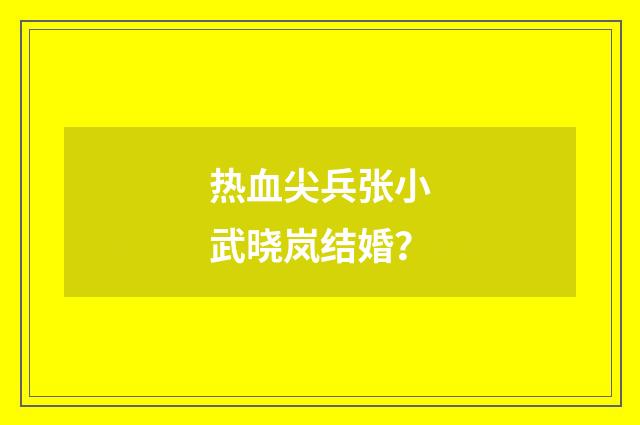 热血尖兵张小武晓岚结婚？
