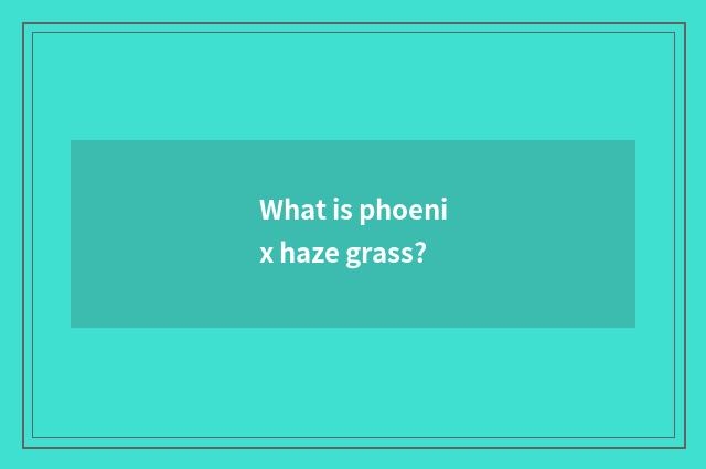 What is phoenix haze grass?