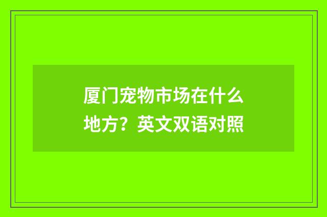 厦门宠物市场在什么地方？英文双语对照