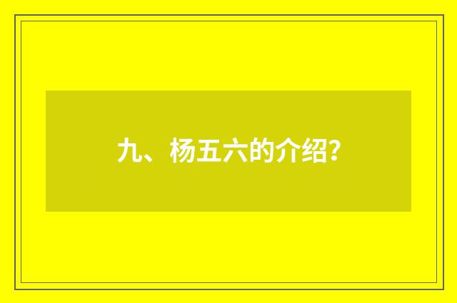 九、杨五六的介绍？
