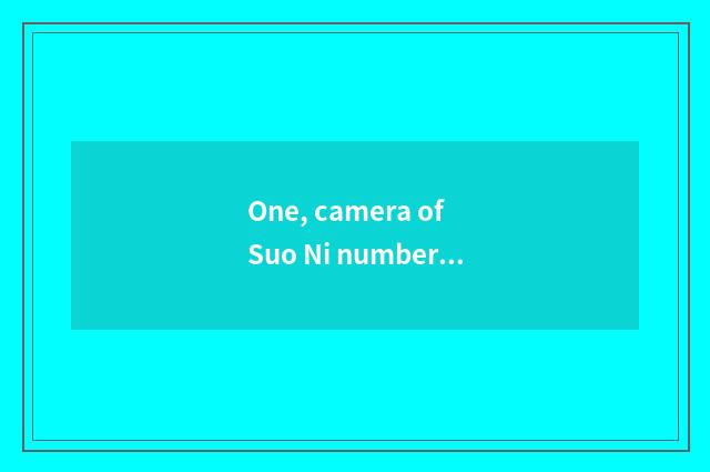 One, camera of Suo Ni number, computer connection?