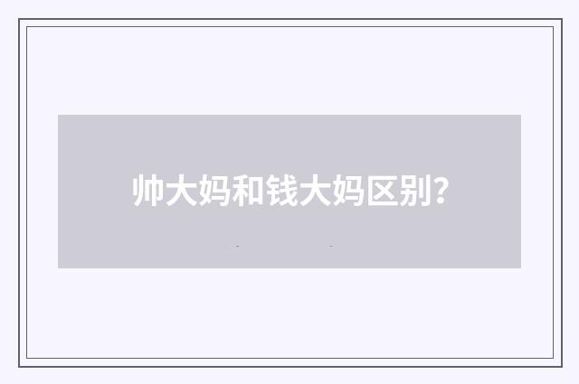 帅大妈和钱大妈区别？